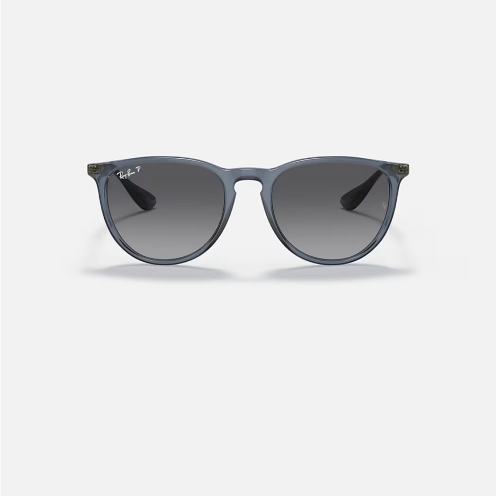 Ray-Ban Erika Classic Sunglasses
